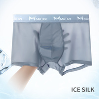 MiiOW 4 sztuk Sexy bielizna męska bokserki przezroczyste oddychające bokserki męskie Trunks lekkie tkaniny męskie kalesony 5